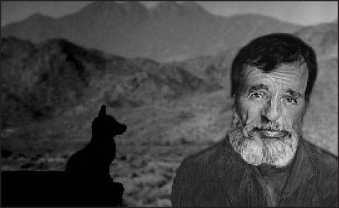 Edward Abbey: Conservative Conservationist—and Controversialist