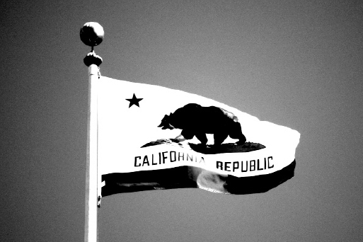 The Betsy Ross of California