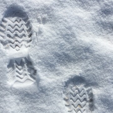 Footprints in the Snow: The Burgling of America