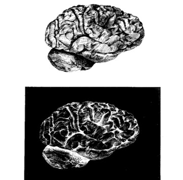 Utopias and Ideologies