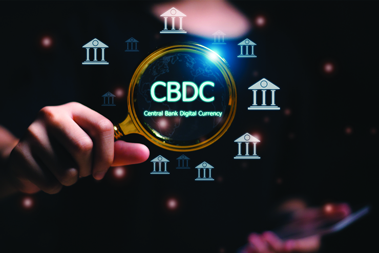 Central Bank Digital Currency, Crypto