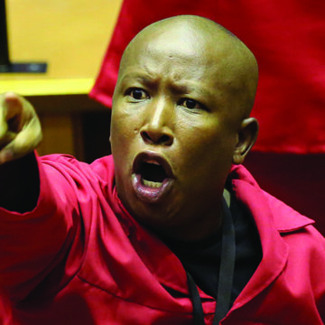 Economic Freedom Fighters, Julius Malema, hate speech, anti-white