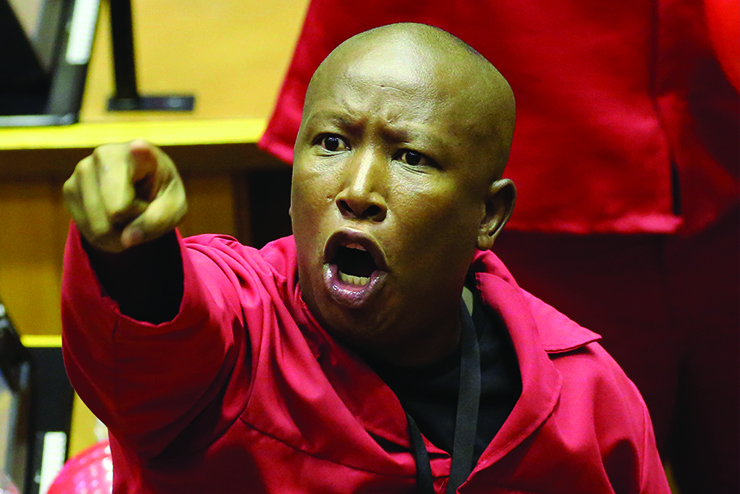 Economic Freedom Fighters, Julius Malema, hate speech, anti-white